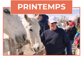 Séjours et voyages adaptés printemps 2026